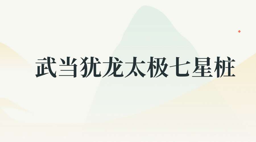 武当犹龙太极七星桩9集