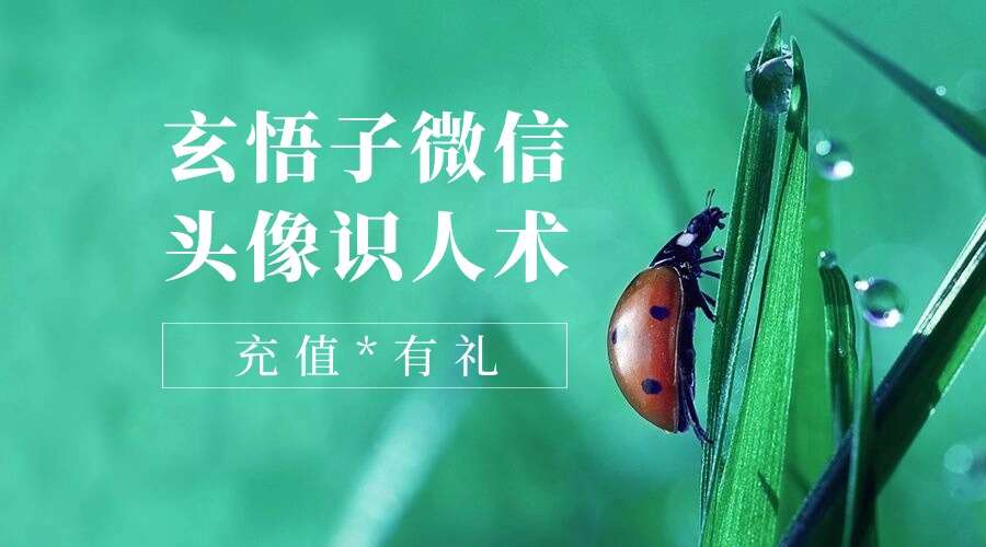 玄悟子微信头像识人术136集视频 （九鼎易学）