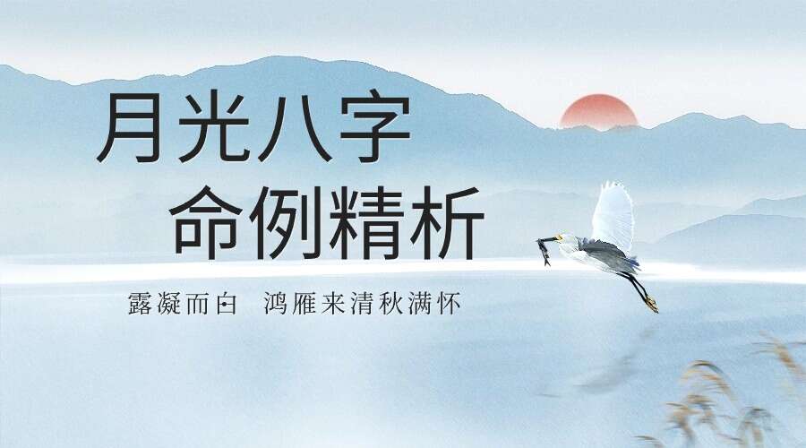 王君凌 月光八字命例精析 高级教材上下册 电子书（九鼎易学）