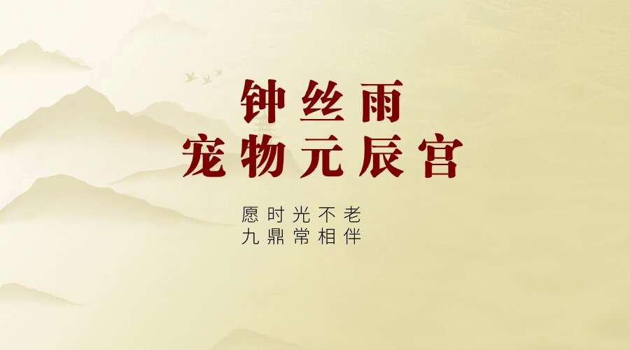 钟丝雨 宠物沟通 宠物元辰宫6集视频（九鼎易学）