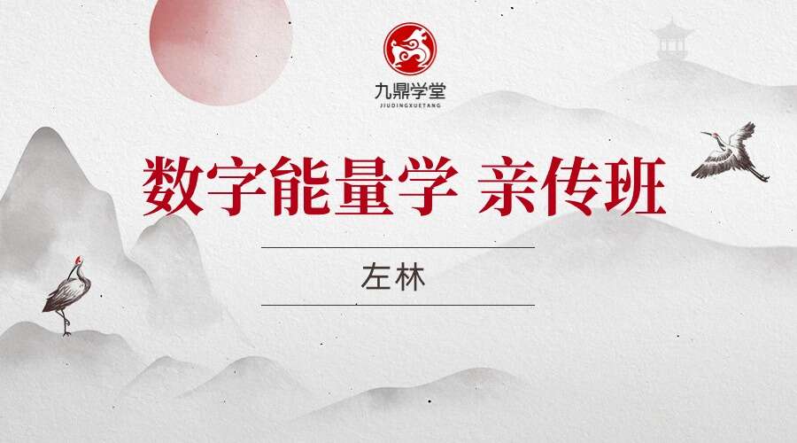 左林 数字能量学 亲传班 （高级）14集视频 （九鼎易学）