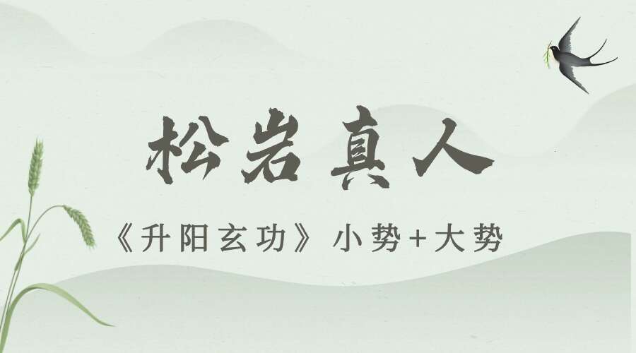 洞玄传承松岩真人《升阳玄功》小势+大势 视频8集