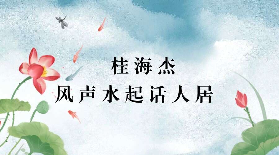 桂海杰风声水起 话人居16集