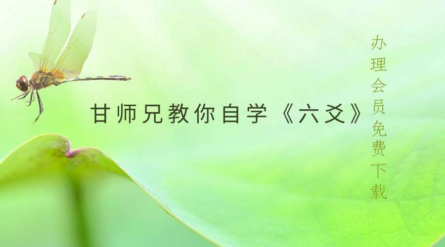 甘师兄教你自学《六爻》（完结）