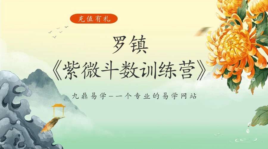 罗镇《紫微斗数训练营》65集视频（九鼎易学）