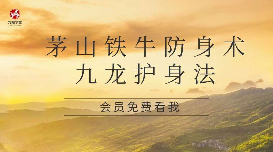 茅山铁牛防身术+九龙护身法（两个打包价）视频+图片（九鼎易学）