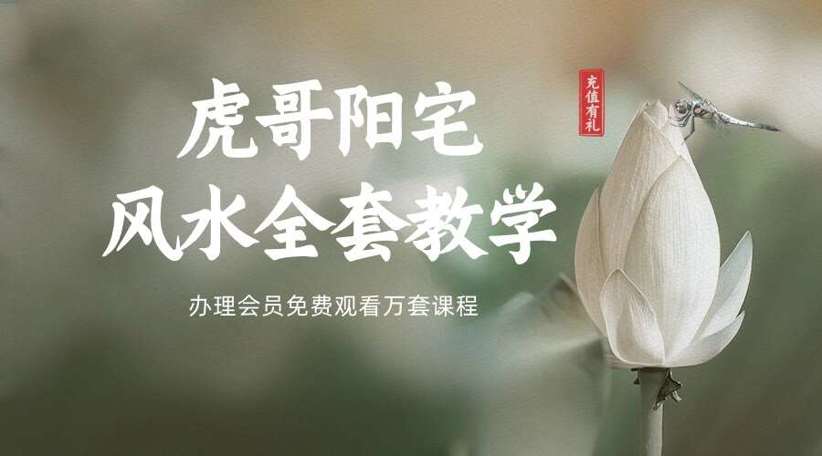 虎哥阳宅风水全套教学视频风水必学 19集视频（九鼎易学）