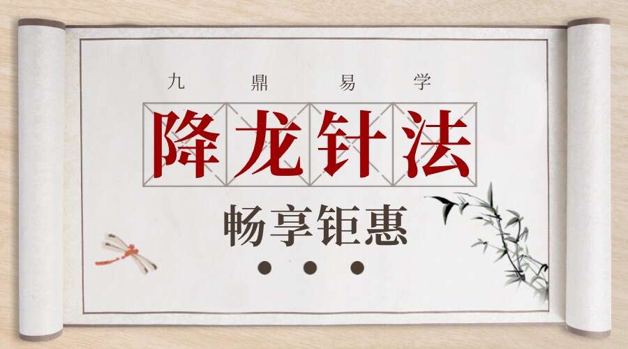 降龙针法医学资料4集视频+9集实操+资料pdf（九鼎易学）