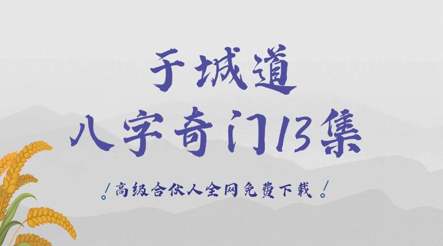 于城道八字奇门13集