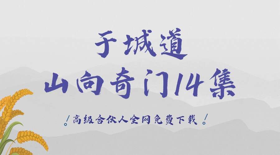 于城道山向奇门14集