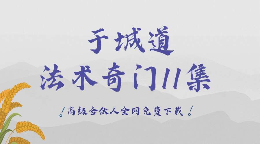 于城道法术奇门11集