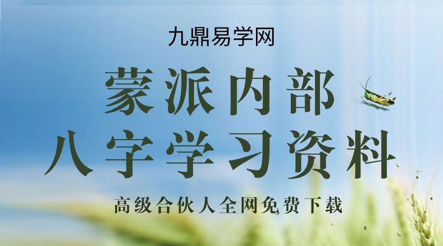 蒙派内部八字学习资料