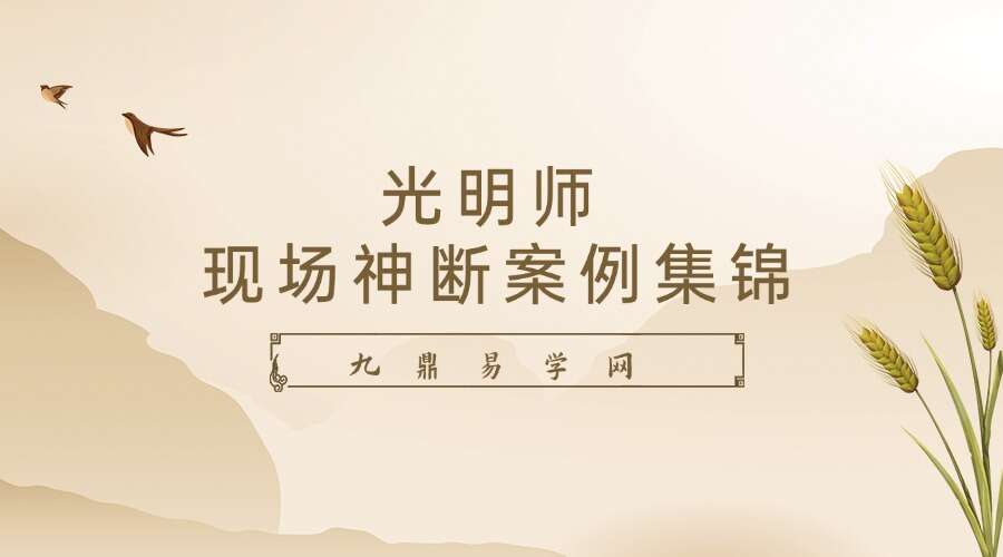 夏光明亲授《光明师现场神断案例集锦》20集