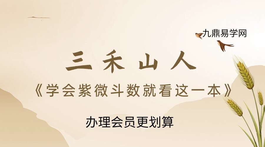 三禾山人《学会紫微斗数就看这一本》358页