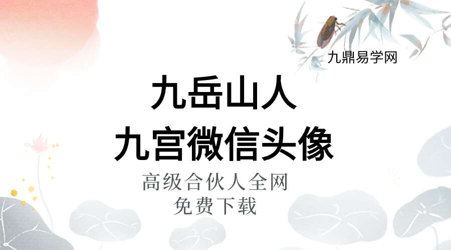 九岳山人九宫微信头像 教你3秒钟识人头像7节视频【原版】