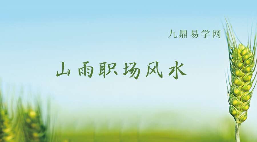 山雨职场风水（高级）
