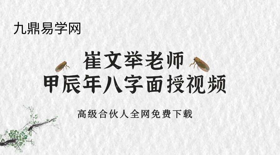 崔文举催老师甲辰年八字面授视频8集-