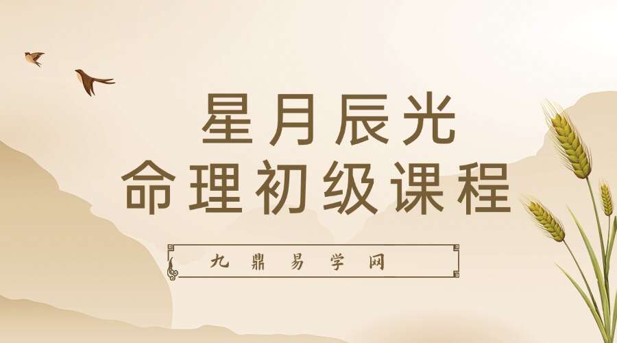 星月辰光命理 初级课程视频35集