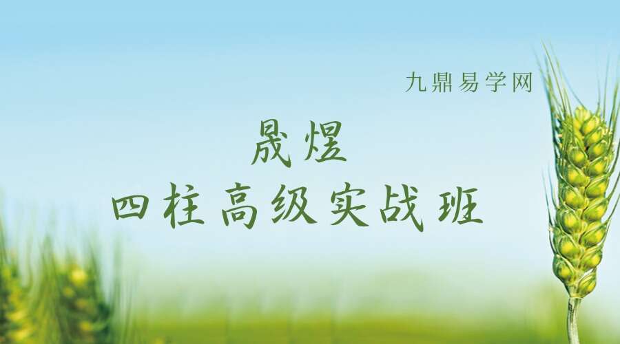 晟煜 四柱高级实战班64集