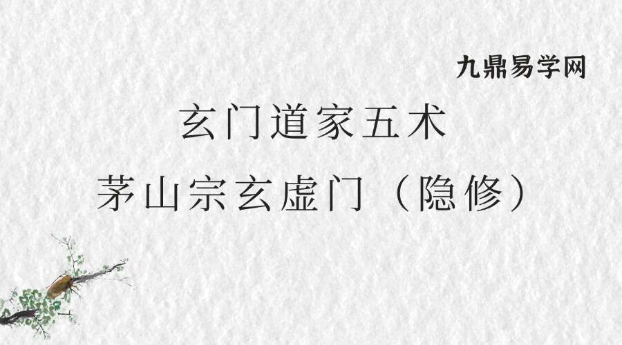 玄门道家五术-“茅山宗玄虚门（隐修）道医学直播讲座
