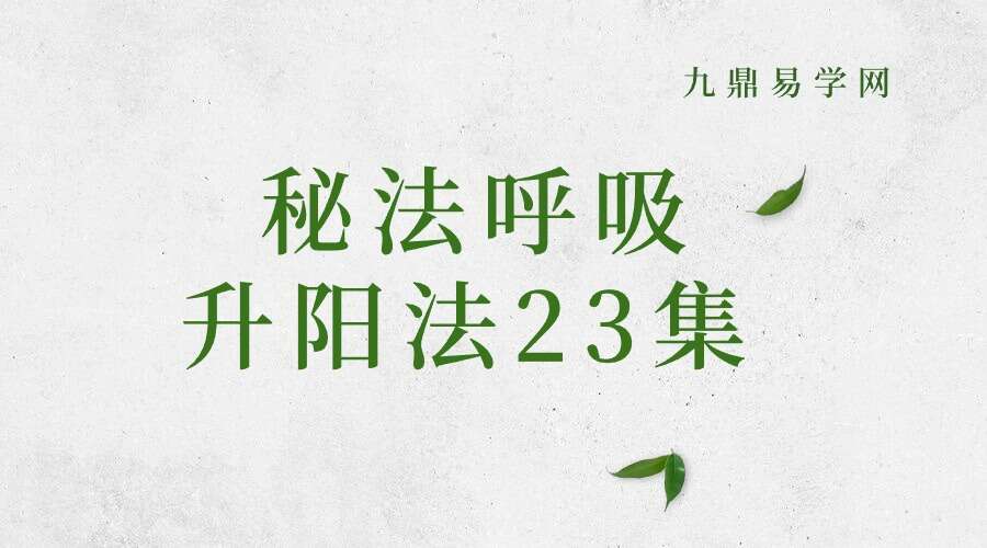 秘法呼吸 升阳法23集