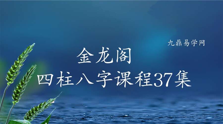 金龙阁四柱八字课程37集
