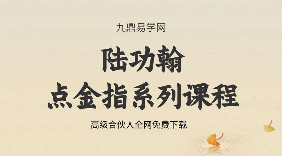 陆功翰武学研究点金指系列一二三四视频课程