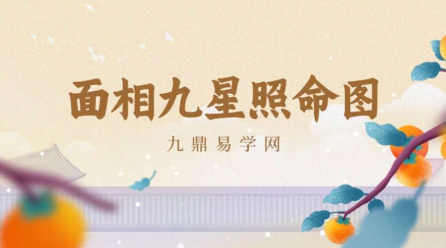 面相九星照命图