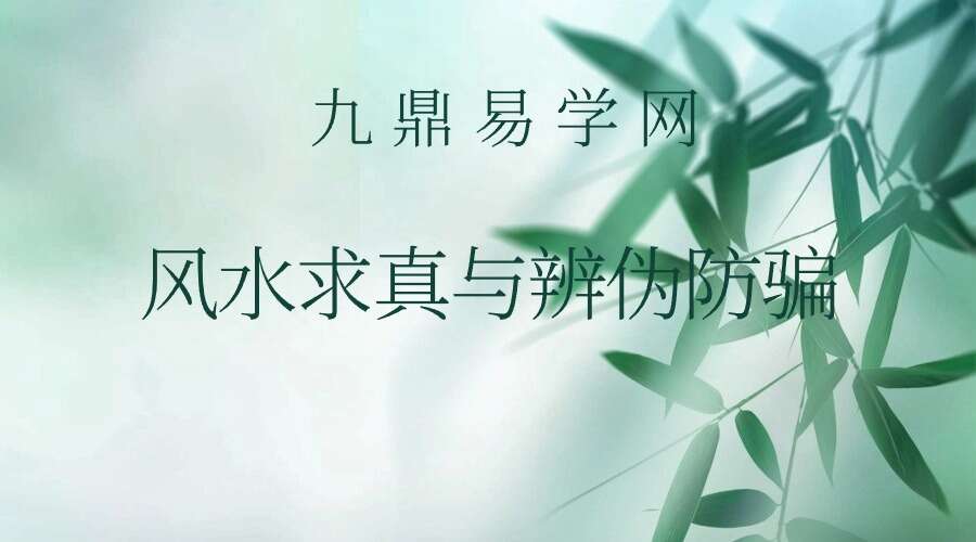 风水求真与辨伪防骗 452p.pdf