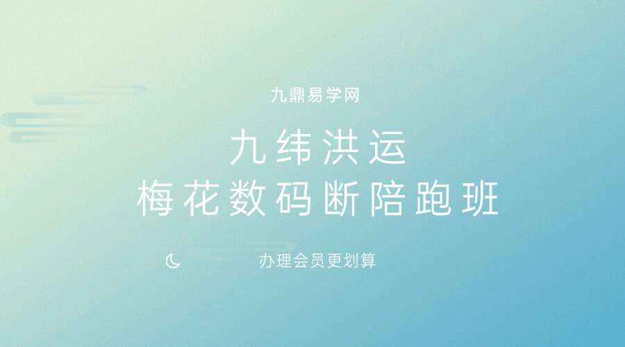 陈春林2024年 赵利华 九纬洪运｜梅花数码断陪跑班视频