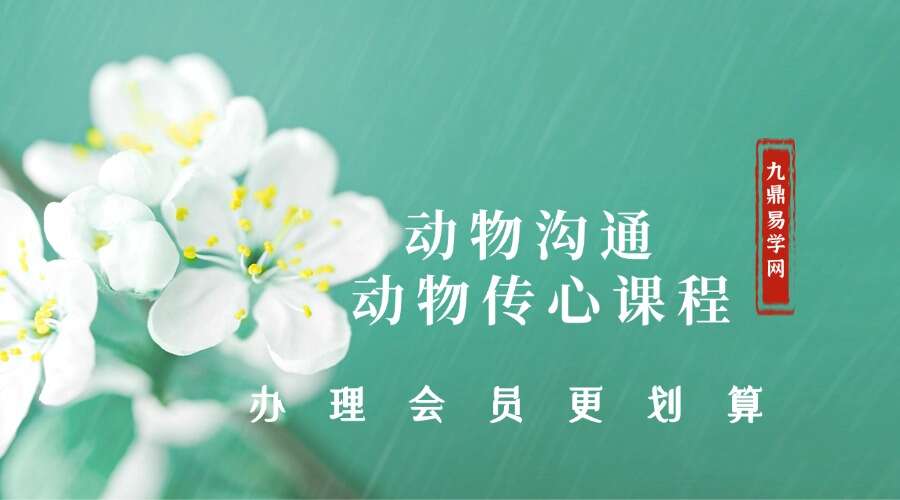 【DF0182】动物沟通 动物传心课程音频资料