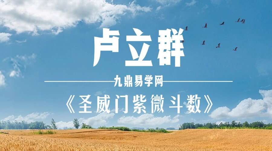 卢立群《圣威门紫微斗数》49集