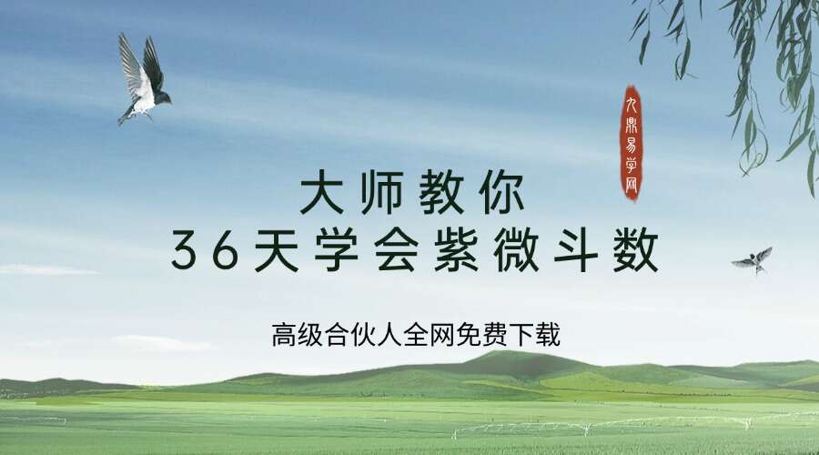 大师教你36天学会紫微斗数  辅得陆  著   290P