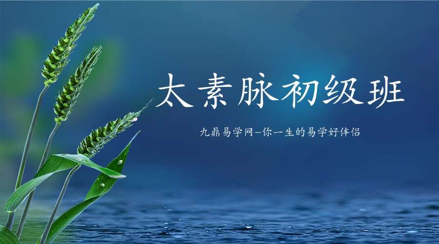 太素脉初级班4集视频 (九鼎易学)