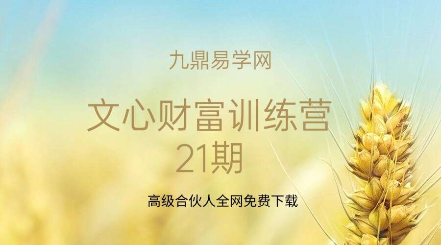 文心财富训练营21期［完结］
