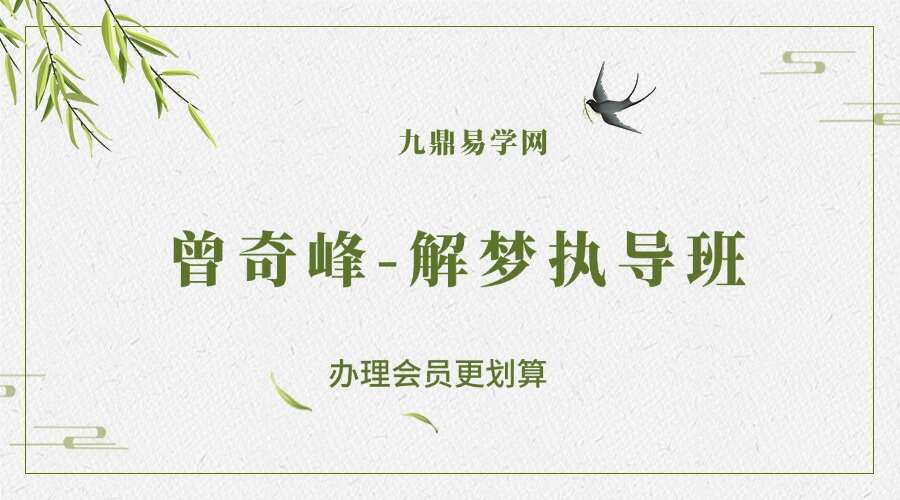 曾奇峰解梦执导班-90天带你成为解梦师（完结）