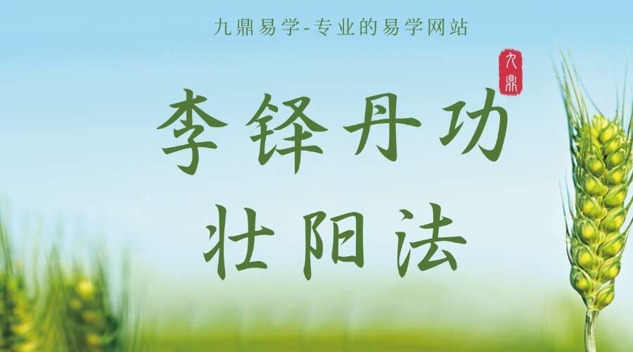 李铎丹功壮阳法 视频八集（形意三步功法真述）