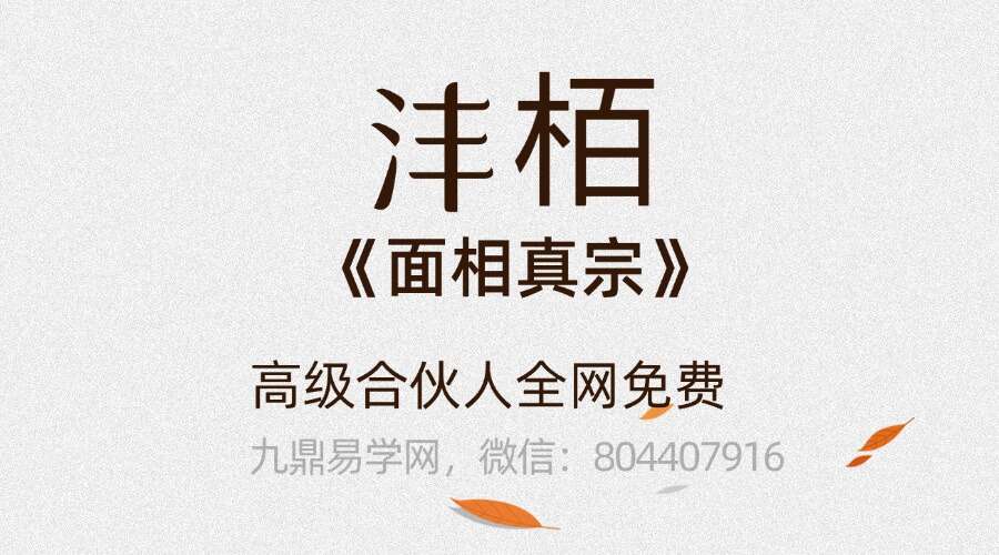 沣栢《面相真宗》34集