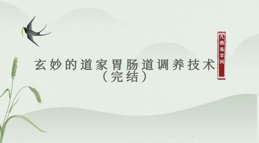 玄妙的道家胃肠道调养技术（完结）