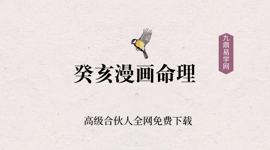 癸亥漫画命理2023年新手课程19集