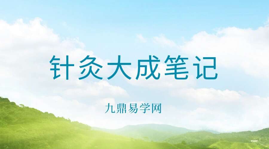 针灸大成笔记pdf 67页