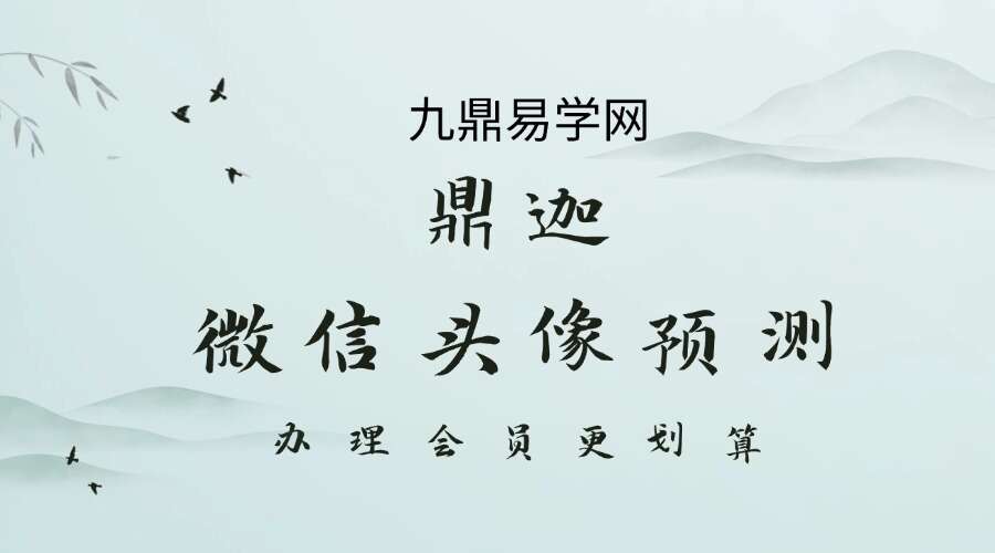 鼎迦微信头像预测