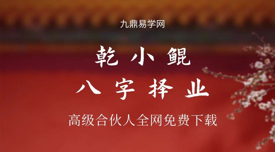 乾小鲲八字择业
