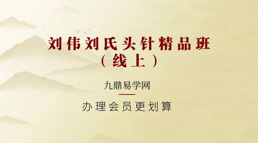 刘伟刘氏头针精品班（线上）