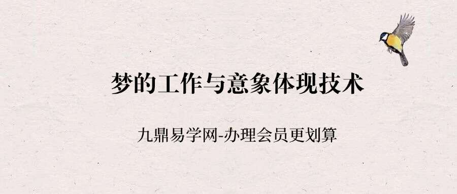 梦的工作与意象体现技术 网络课程视频