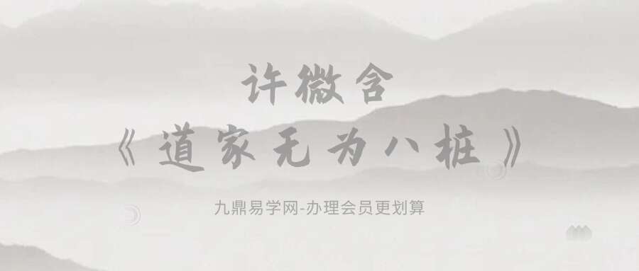 许微含《道家无为八桩》视频8集