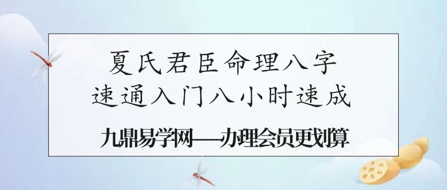 光明师亲授！《夏氏君臣命理八字速通入门八小时速成》