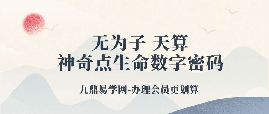 无为子 天算 神奇点生命数字密码28集