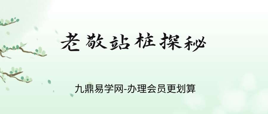 老敬站桩探秘，线上视频课程，35年经验帮你解决问题，少走弯路