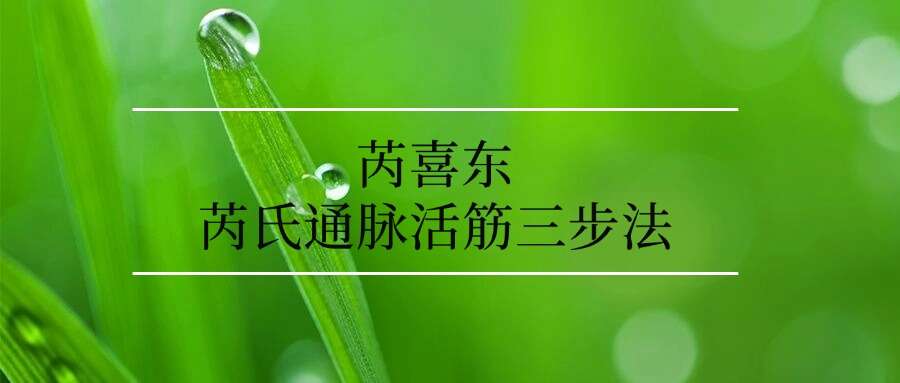 芮喜东 芮氏通脉活筋三步法12集